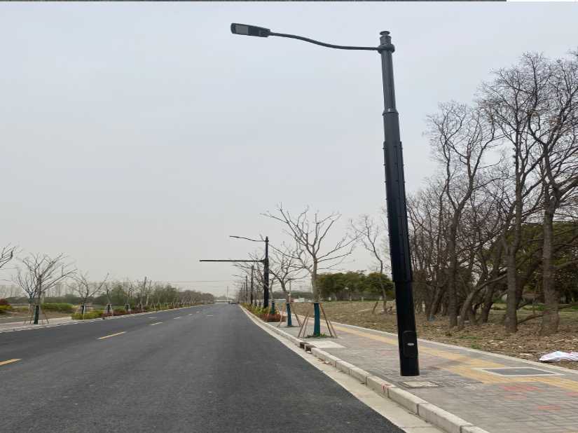 定结县上海综合杆 太阳能路灯工程
